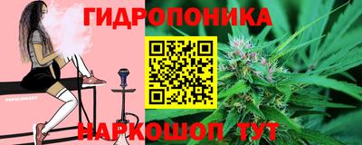 шишки Заводоуковск