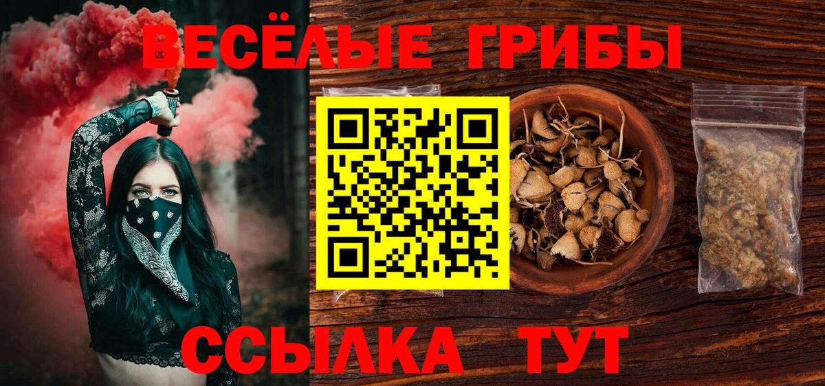 Псилоцибиновые грибы мицелий  Галлюциногенные грибы GOLDEN TEACHER  Вход с VPN  Миллерово 